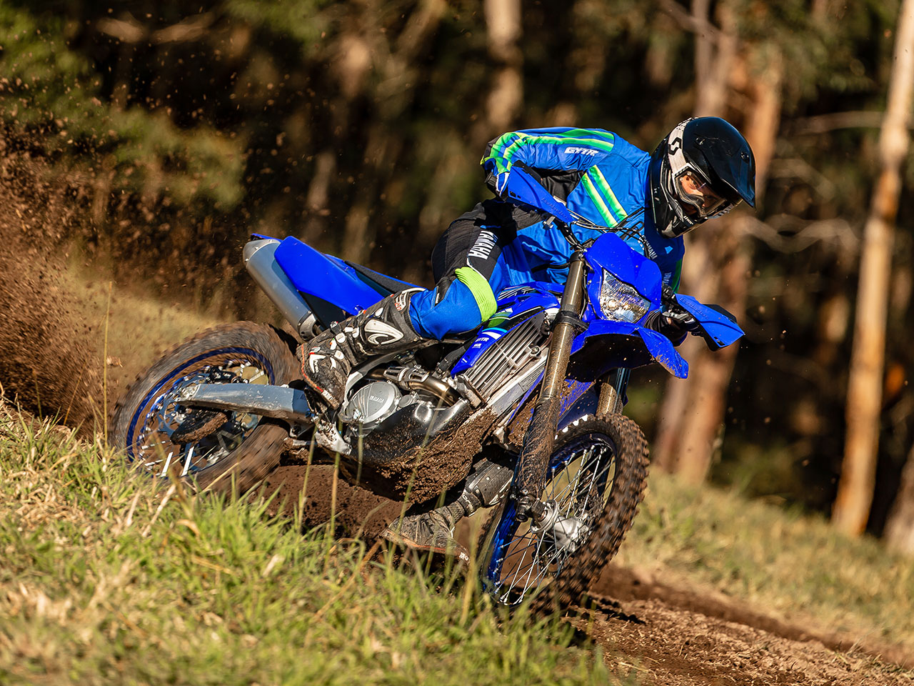 2021 wr250f for sale